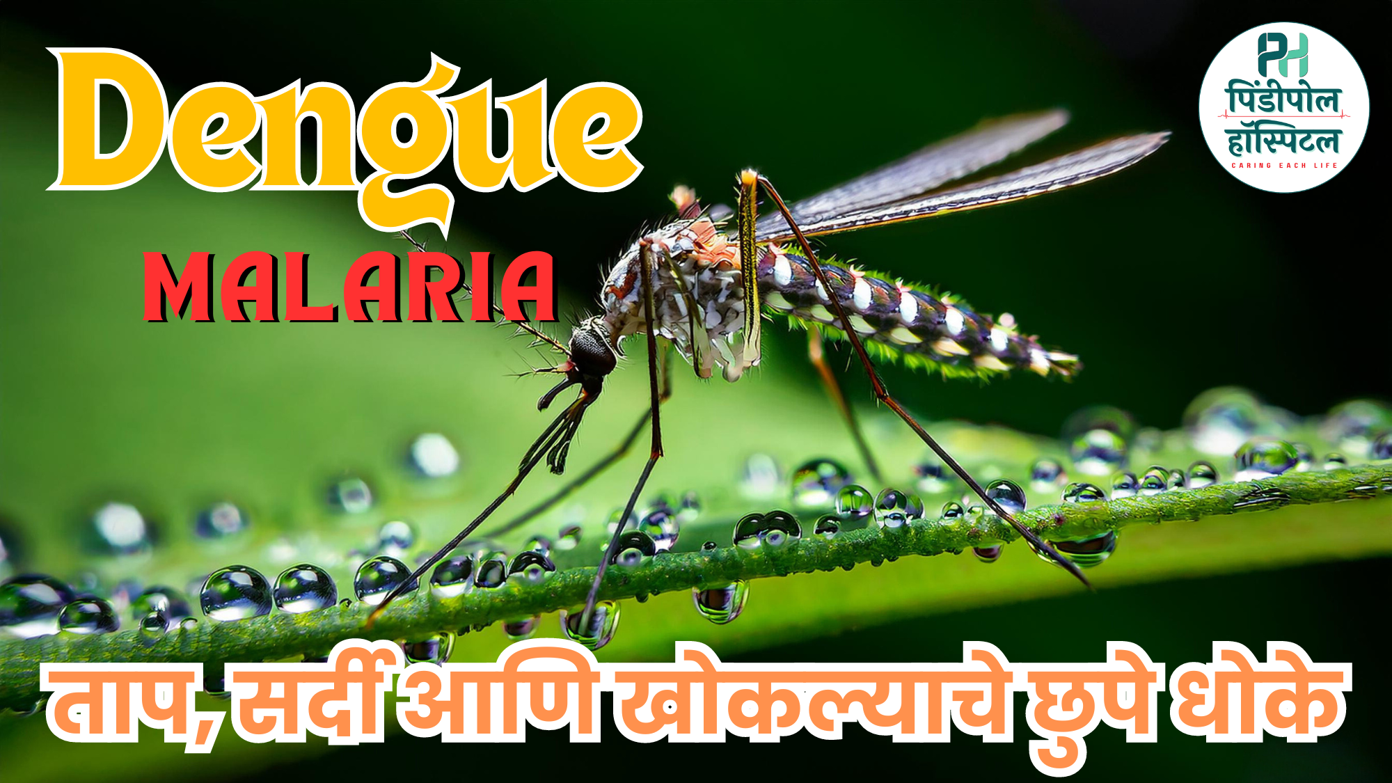 Dengue विरुद्ध Malaria in Solapur: ताप, सर्दी आणि खोकल्याचे छुपे धोके आपल्याला माहित आहेत !
